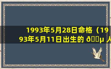 1993年5月28日命格（1993年5月11日出生的 🌵 人什么命）